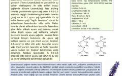 İlaç ve Kimya Sanayisinde Lavanta