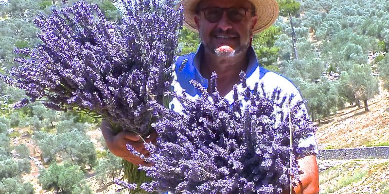 lavanta-emir-demirsoy-demirsoy-tarim-youtube-video